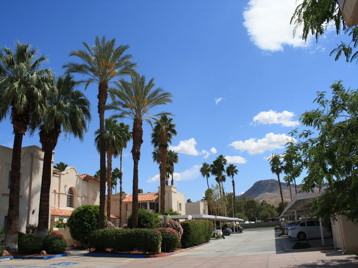 View Jardin De Leon