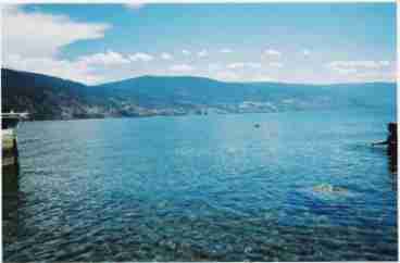 View Summerland Beach House  Private