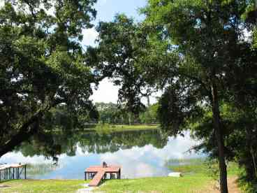 View Ocala Nat Forest   Lakefront