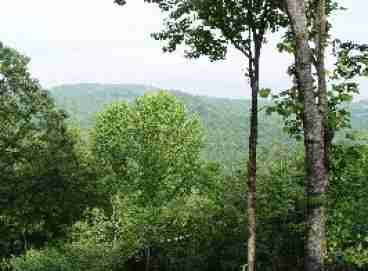 View Bear Paw large pet friendly home