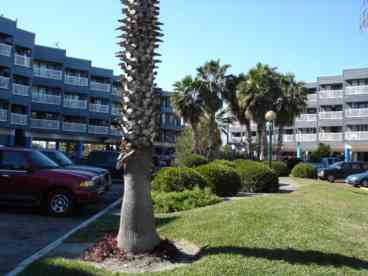 View Corpus Christi Condo