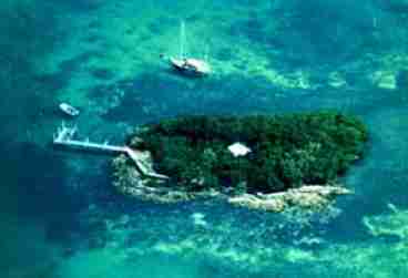 View Private Island Florida Keys Dolphin