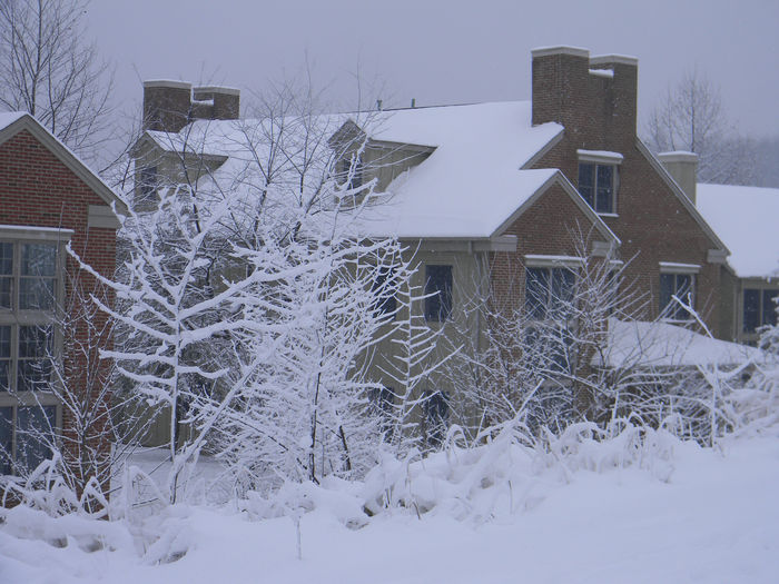 View Whitetail Ski Resort  Ski In