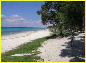 View Residencias Reef Condo 5120