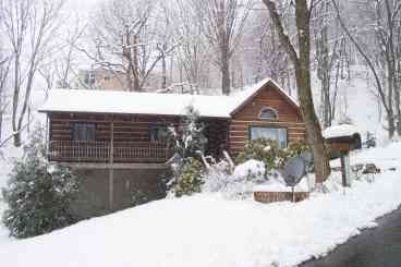 View Honey Bear Log Cabin