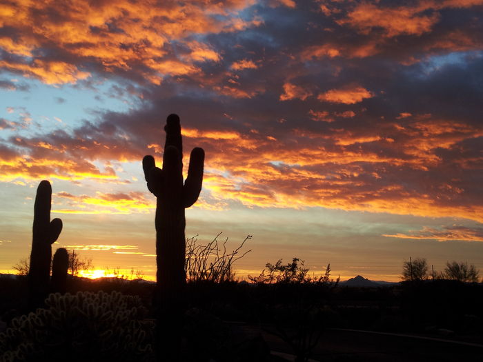 View PHOENIX SCOTTSDALE MESA ARIZONA