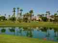 View Rose at PGA West