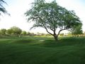 View PGA West     15th Fairway of