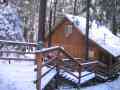 View Pinecone Cabin