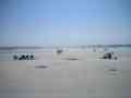View Summer Breeze Condo Summer Special