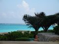 View 2 Brdm 2 Bath Condo in New Port