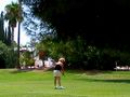 View Dorado CC Golf Condo on 4th Tee