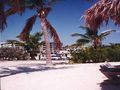 View KAWAMA YACHT CLUB KEY LARGO Upscale