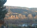 View Peartree Condos