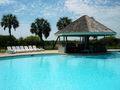 View FALLWNTR REDUCED RATES  75