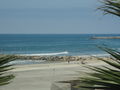 View Happy Whale
