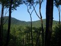 View Cherokee Point