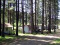 View Pine Springs Resort
