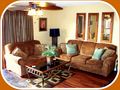 View 3 Spring and Summer only 500