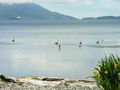 View Sandpiper on Samish  Private NoBank