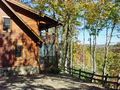 View Falling Water  Luvn Living Mountain