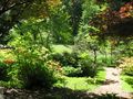 View Shibui Bed and Breakfast