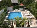 View Jungle Dream