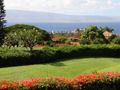 View Masters on Kaanapali Hillside