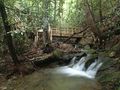 View Creekside on Millers Creek in