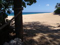 View North Shore Look Out at Rock