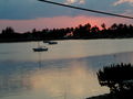 View Abaco Sea Fan