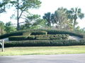 View Golfers Paradise in Sawgrass Country