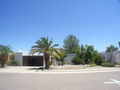 View Desert Meadows