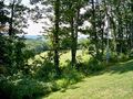View Top View Estate