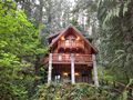 View Mt Baker Lodging Cabins and