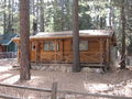 View Cedar Woods