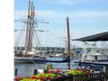 View Randalls Wharf