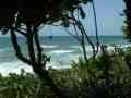 View Your Peace of Paradise