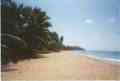 View Beachfront Condo in Rincon