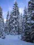View Tahoe RNR