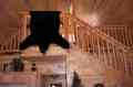 Bear Rug (Not Real) in Loft