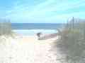 View Against the Wind